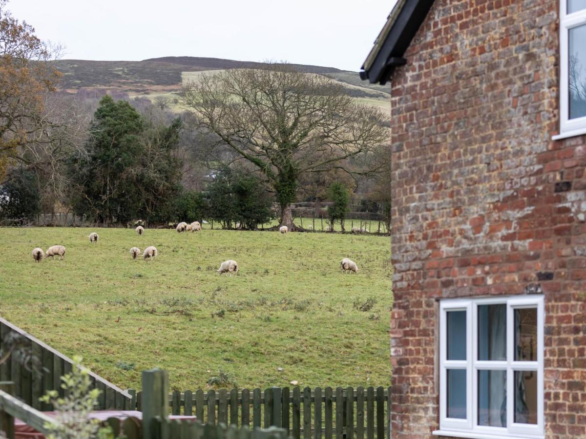 Caer Fedwen Barns Clwyd Cottage Two Bed, Barn Conversion With Private Hot Tub Bodfari Екстер'єр фото